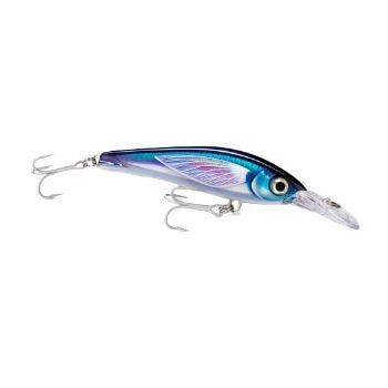 Rapala X-Rap Magnum Xtreme HD: Minnow 16cm Colorazione Sardina Blu Per Predatori Marini