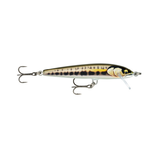 Hard bait Rapala Floater Elite 8.5cm - Leurre de la pêche Hard bait Rapala Floater Elite 8.5cm - Leurre de la pêche