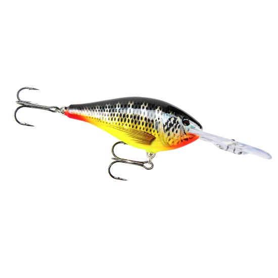 LURE LURE