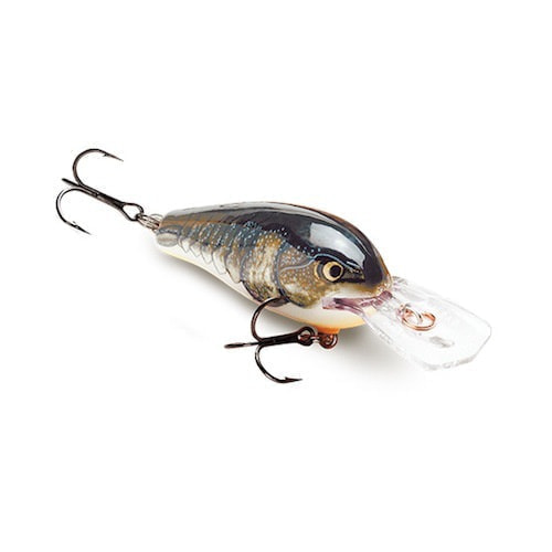 LURE